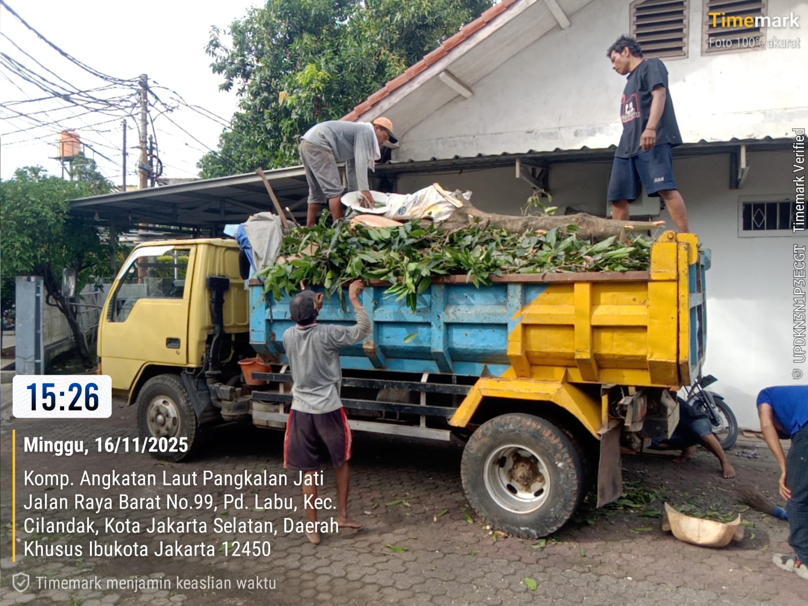 Jasa Buang Sampah Pohon dan Daun